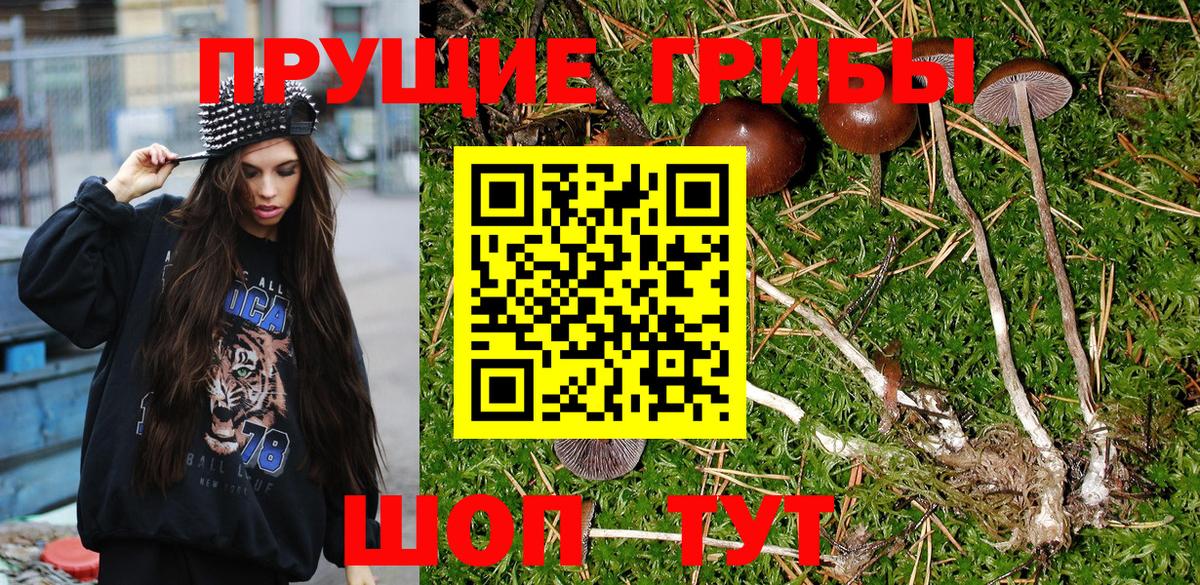 Галлюциногенные грибы MAGIC MUSHROOMS  Псилоцибиновые грибы Psilocybine cubensis  хочу   Вход с VPN  Карпинск 
